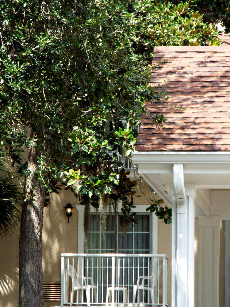 Palmera Inn And Suites Île de Hilton-Head Extérieur photo